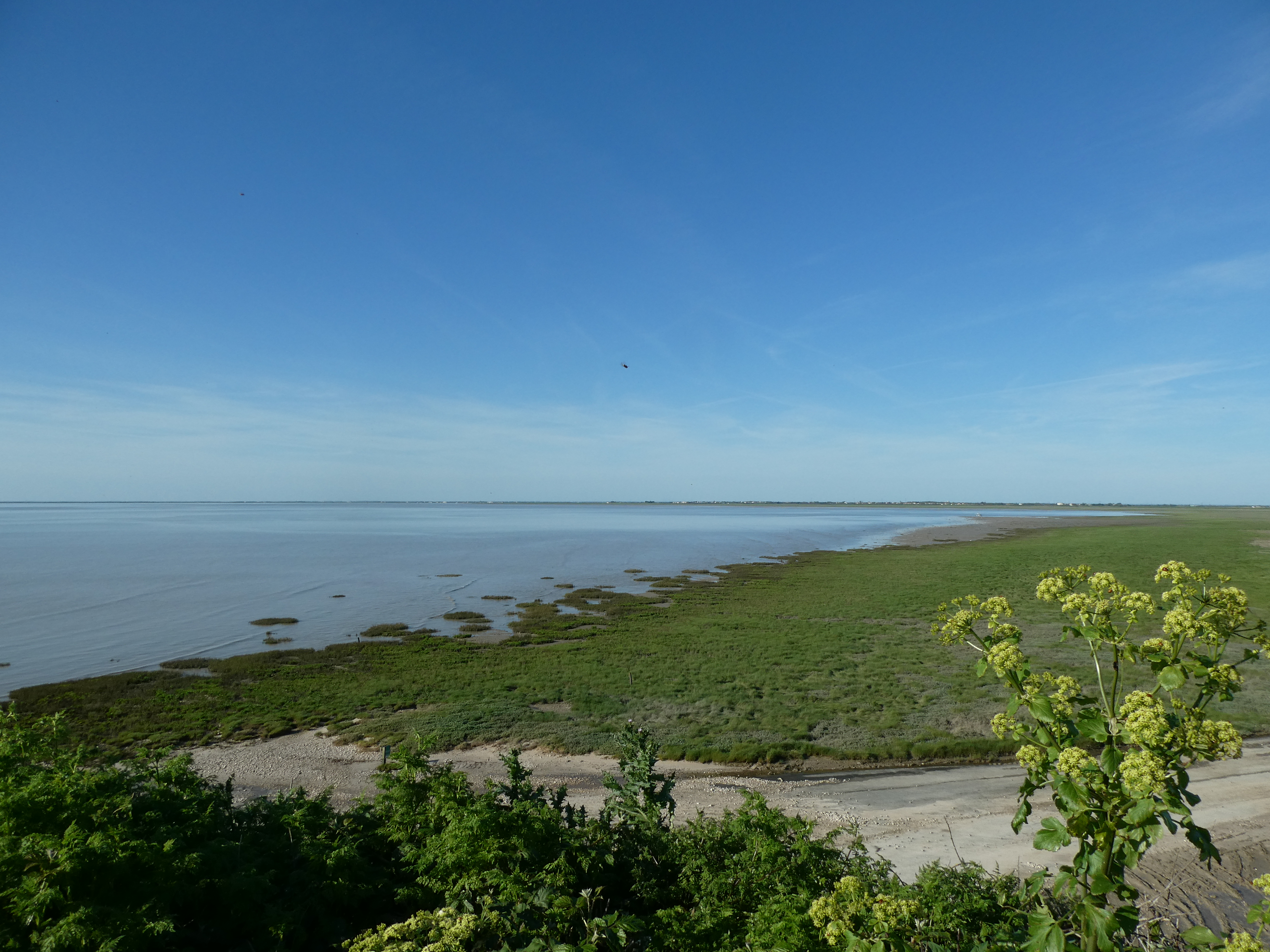 Vue depuis la Pointe Saint Clément sur la baie